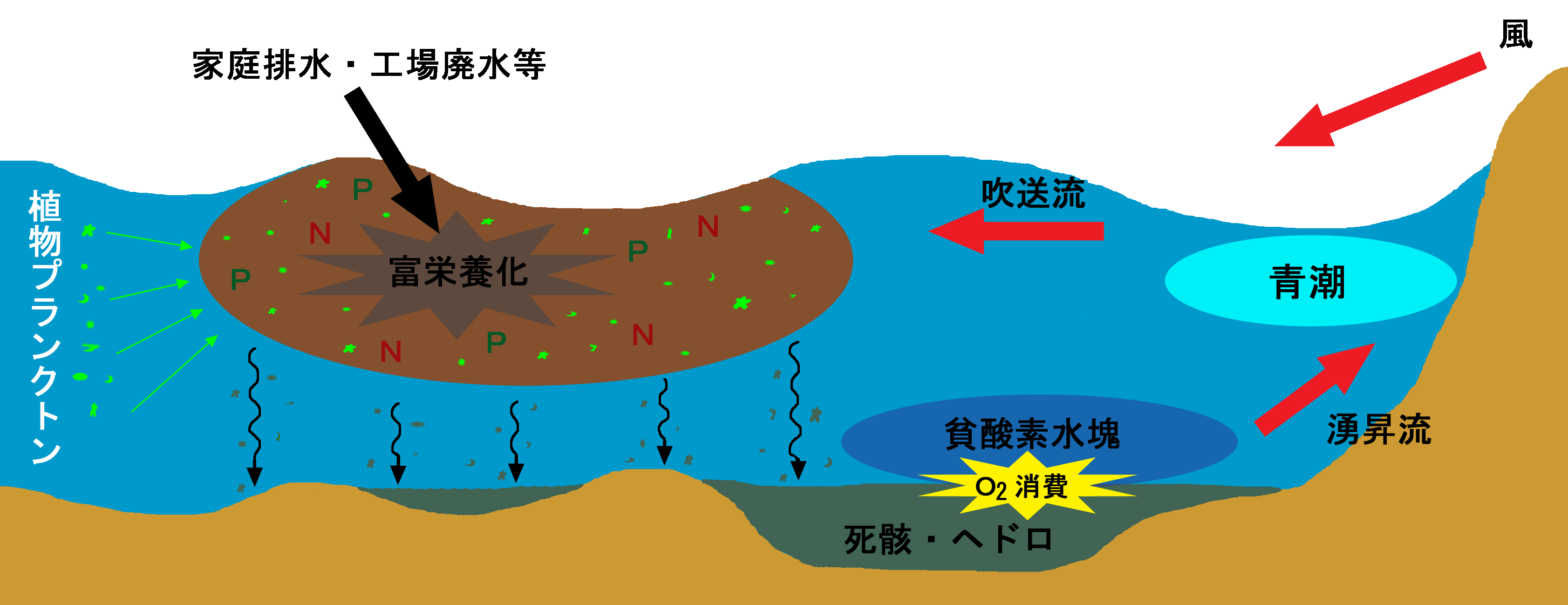 青潮しくみ