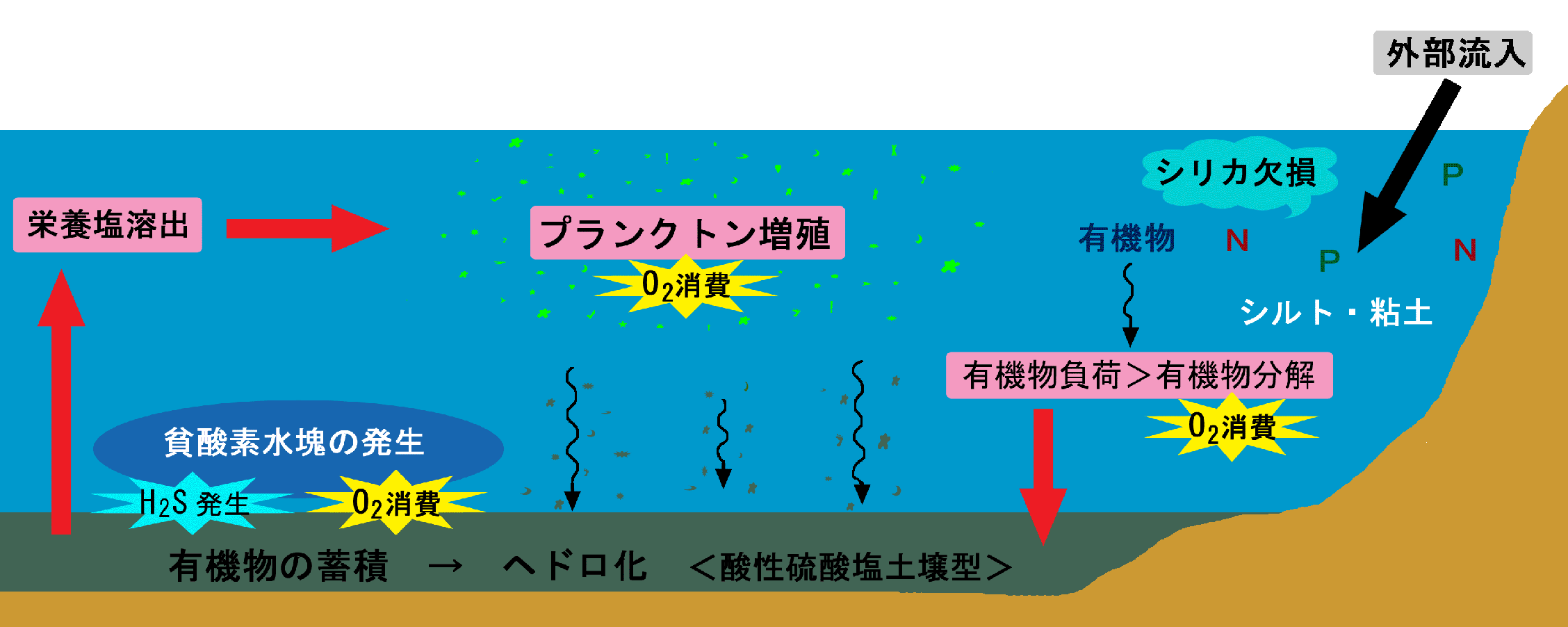 汚濁汽水域
